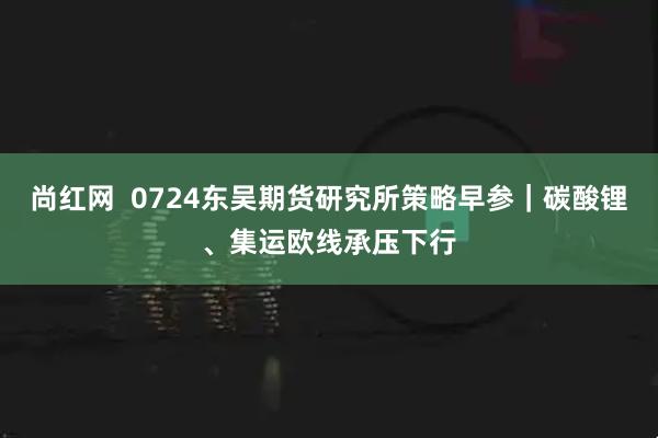 尚红网  0724东吴期货研究所策略早参｜碳酸锂、集运欧线承压下行