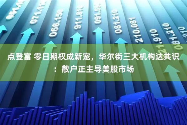 点登富 零日期权成新宠，华尔街三大机构达共识：散户正主导美股市场